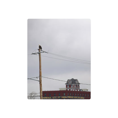 Bald Eagle & Syracuse Factory | Metal Wall Art Sign