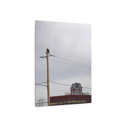 Bald Eagle & Syracuse Factory | Metal Wall Art Sign