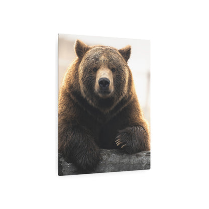 Bear Posing | Metal Art Sign