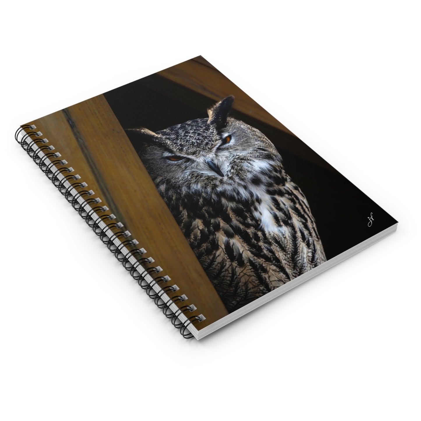 Owl | Spiral Notebook