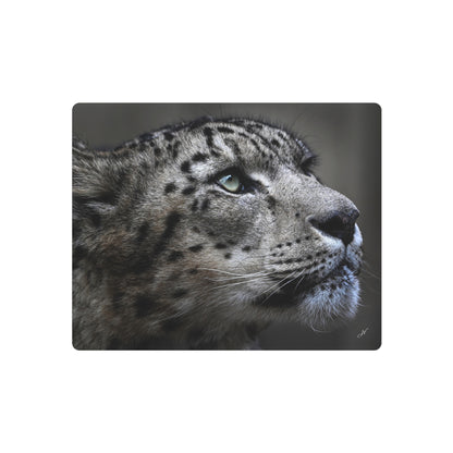Snow Leopard | Metal Art Sign