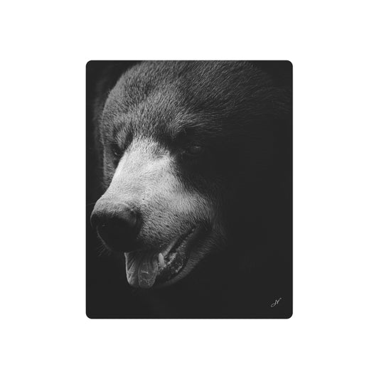 Black Bear | Metal Art Sign