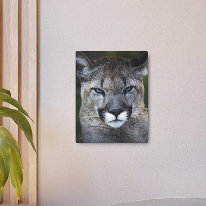 Puma Cat | Metal Art Sign