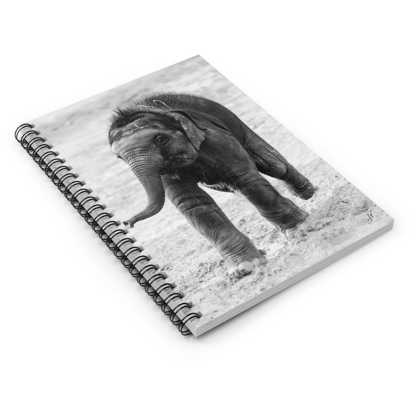 Elephant Notebook/Post-It Bundle