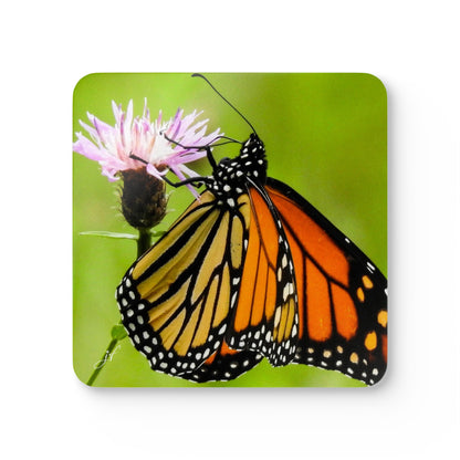 Butterfly | Corkwood Coaster Set (4 Piece)