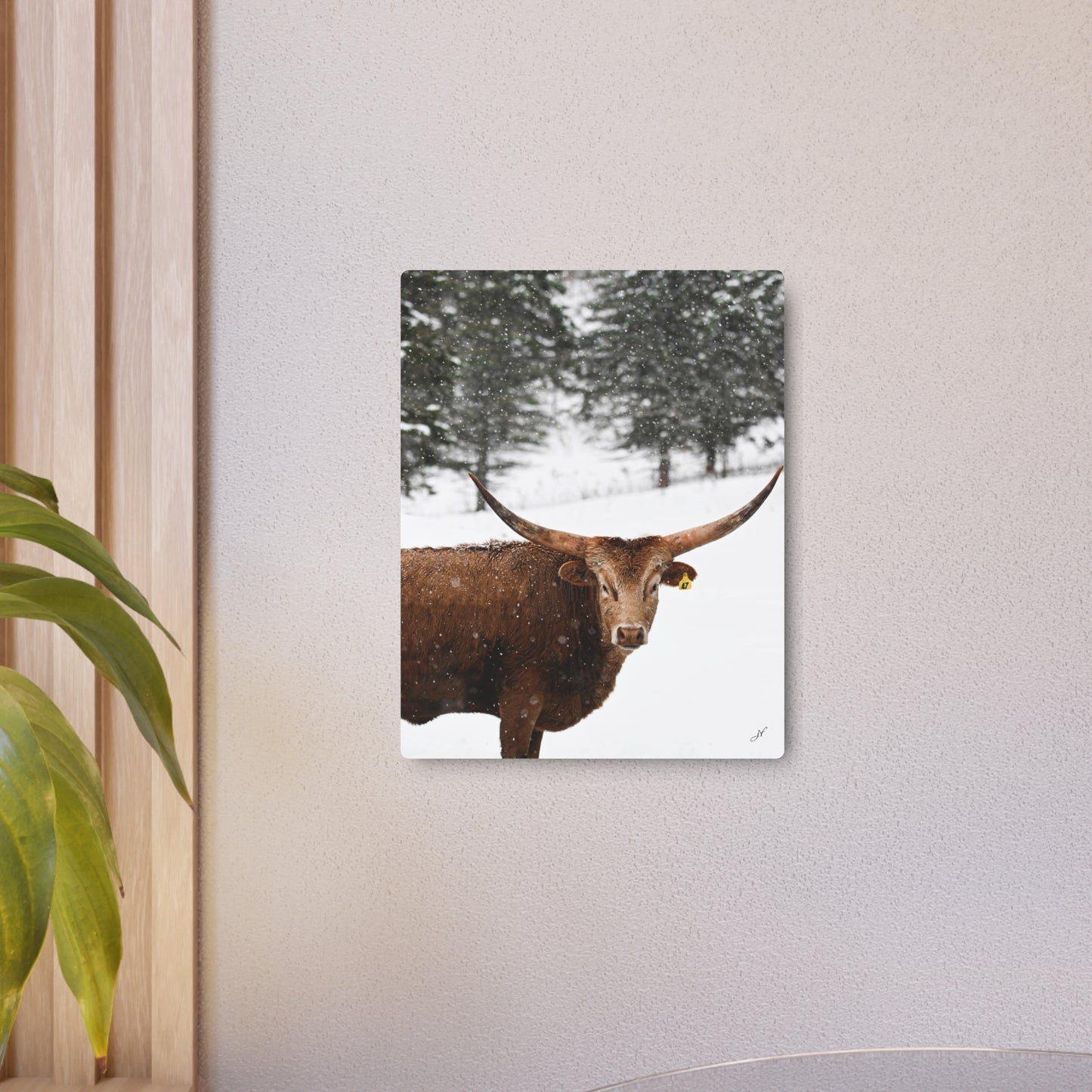 Winter Longhorn Cow | Metal Art Sign