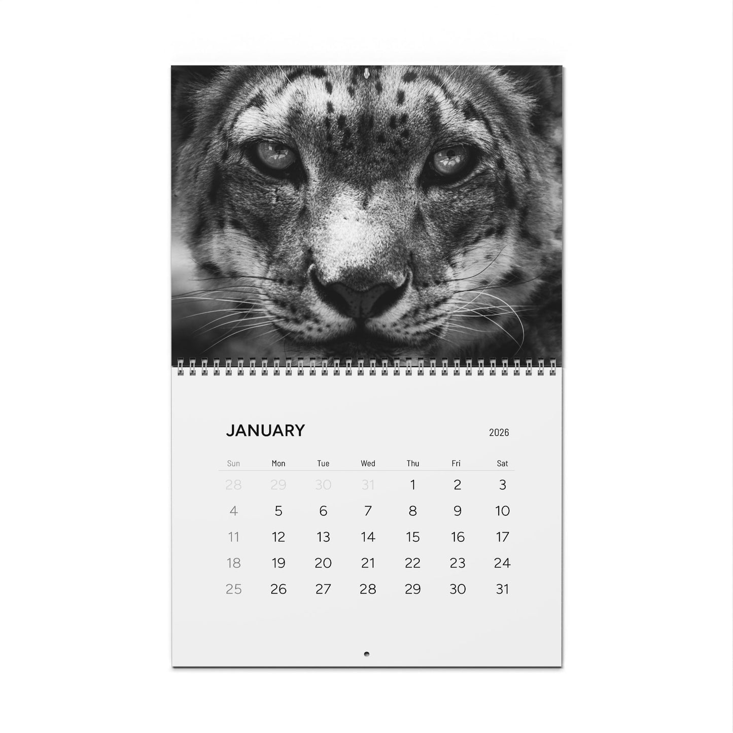 2026 Wildlife Calendar