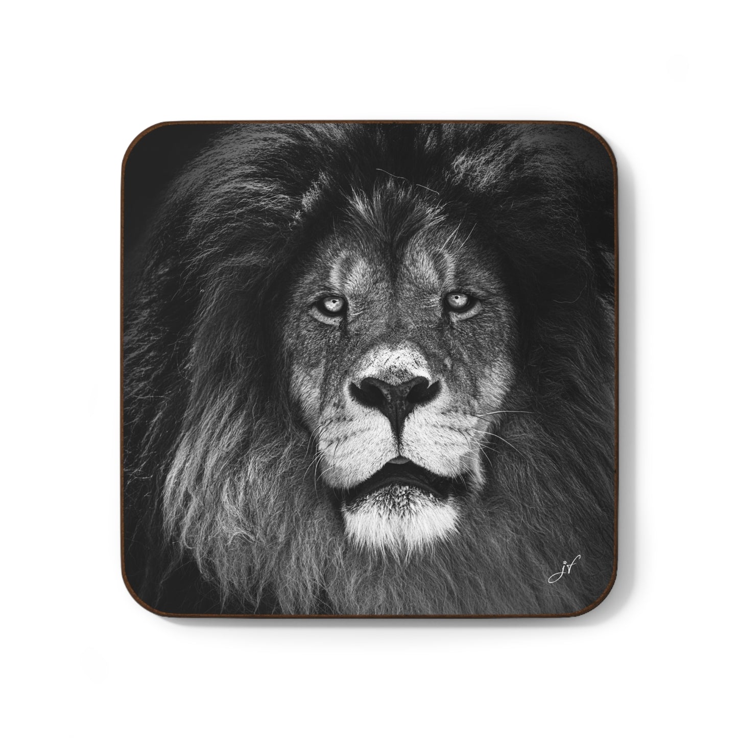 Assorted Wildlife Coaster Bundle