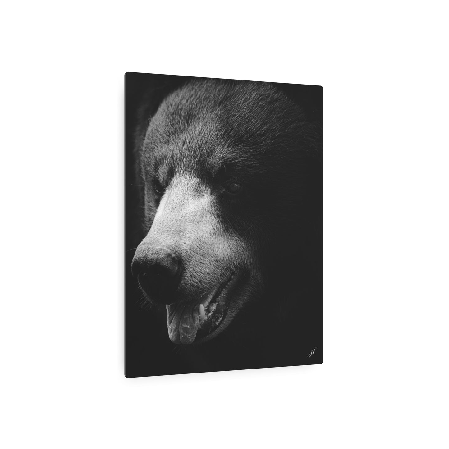 Black Bear | Metal Art Sign