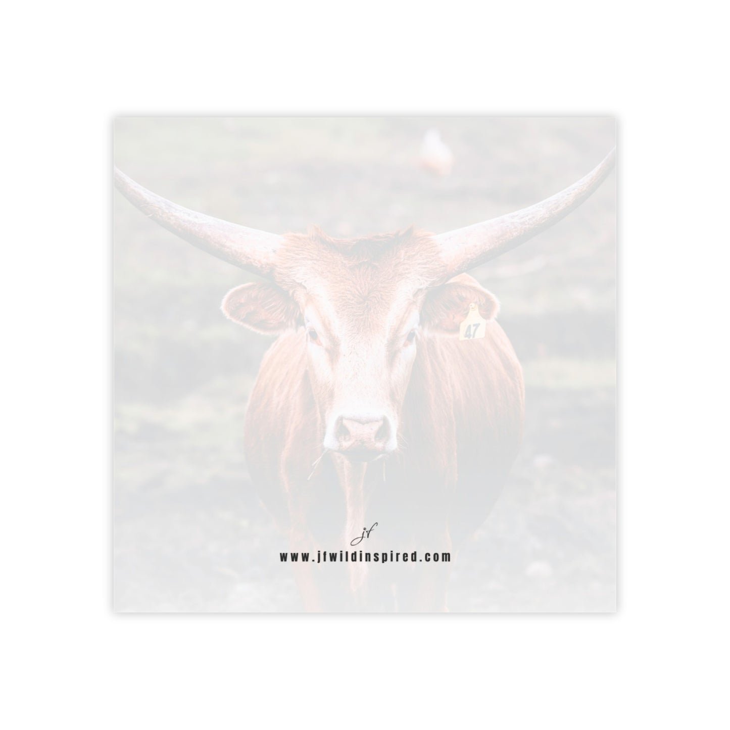 Longhorn Cow | Post-It Note Stack