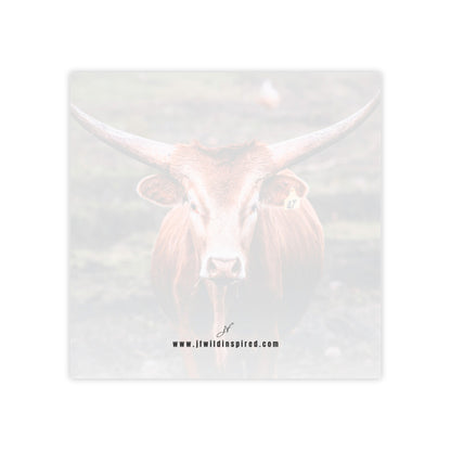 Longhorn Cow | Post-It Note Stack
