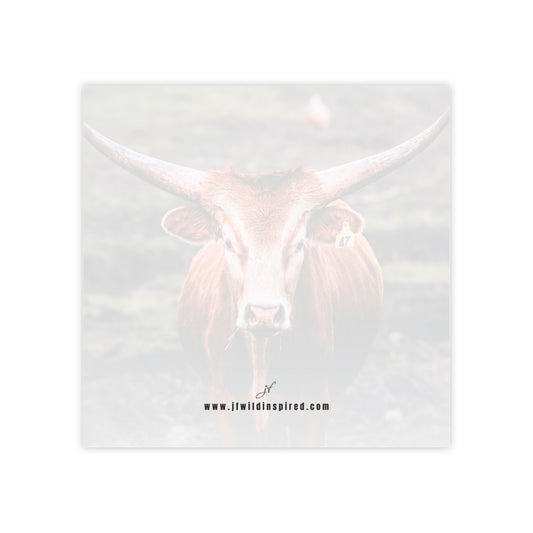 Longhorn Cow | Post-It Note Stack