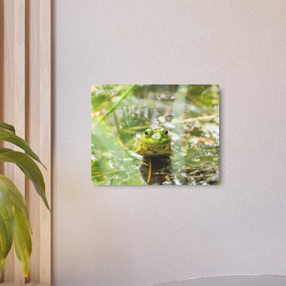Frog | Metal Wall Art
