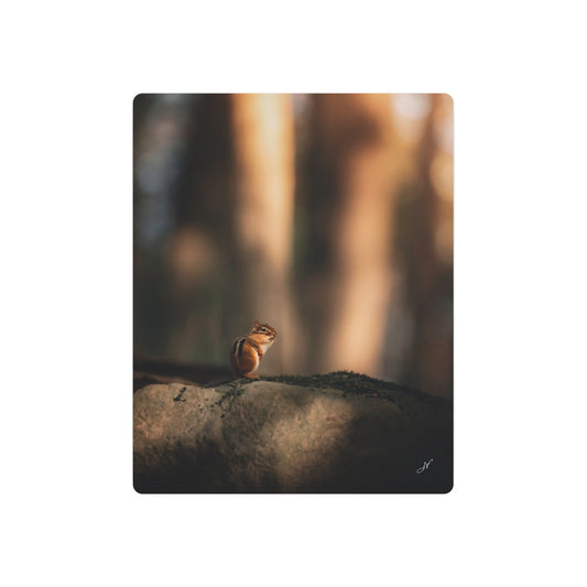 Chipmunk | Metal Art Sign