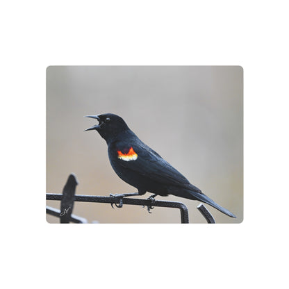Red-Winged Blackbird | Metal Art Sign