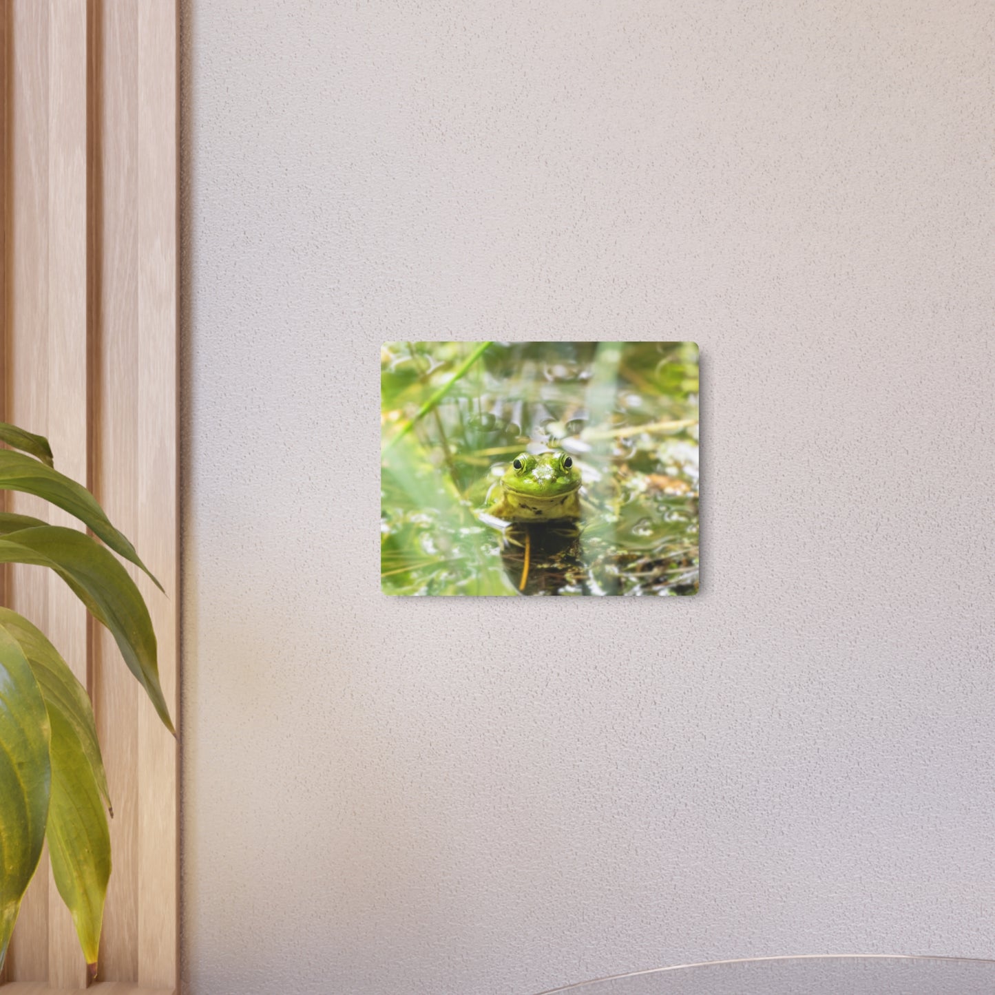 Frog | Metal Wall Art