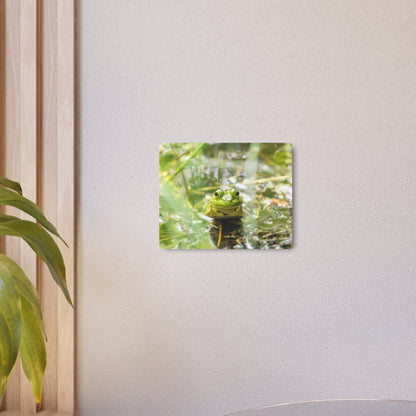 Frog | Metal Wall Art