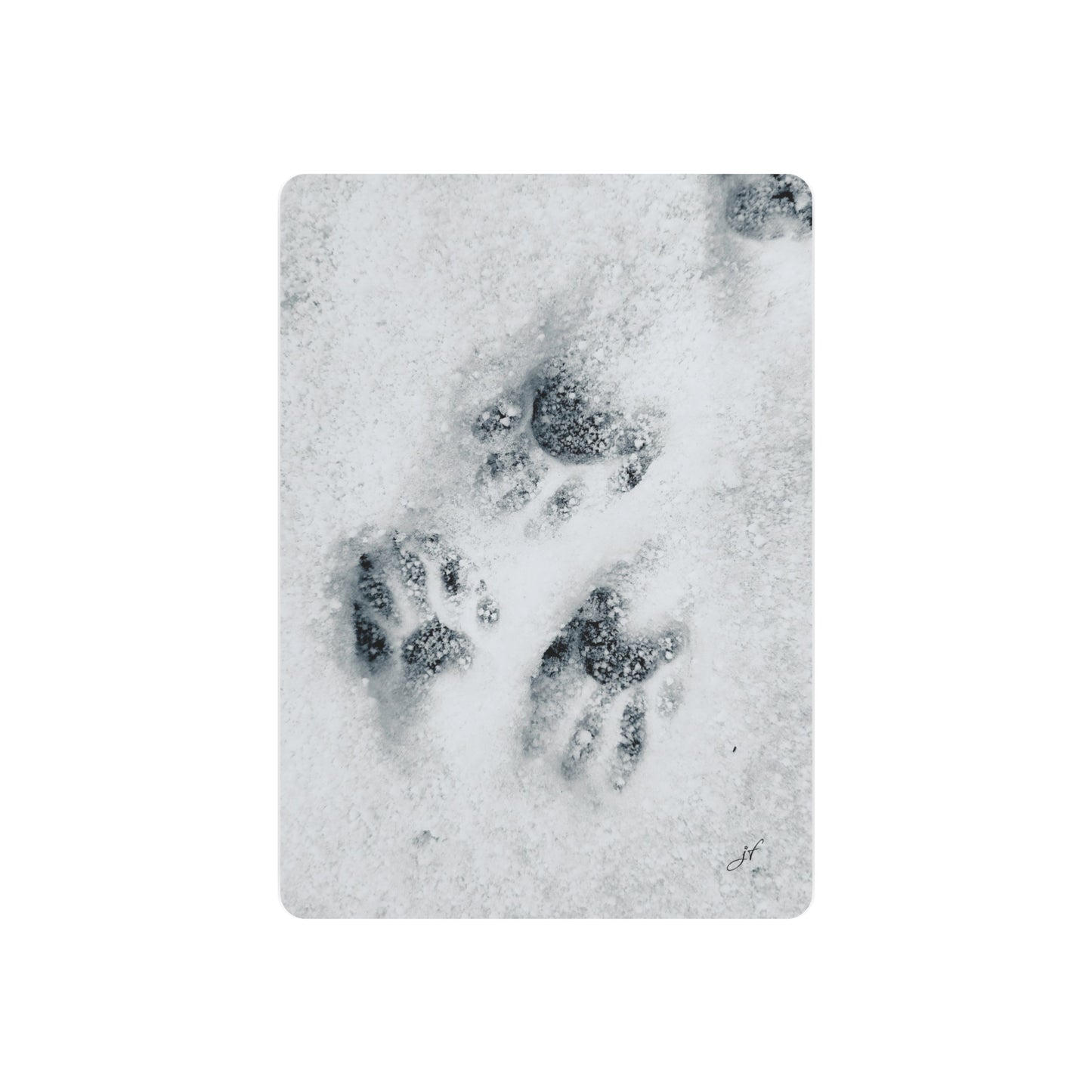 Raccoon Tracks | Metal Art Sign