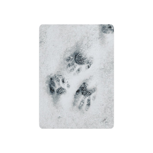 Raccoon Tracks | Metal Art Sign