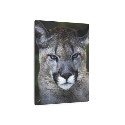 Puma Cat | Metal Art Sign