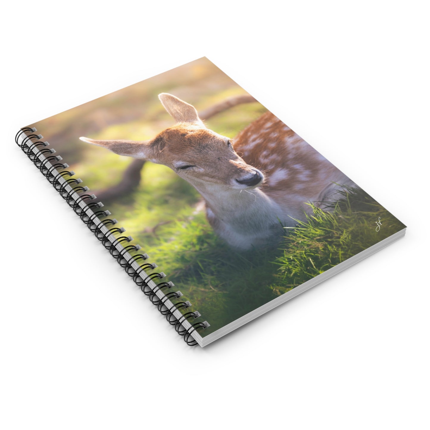 Fawn | Spiral Notebook