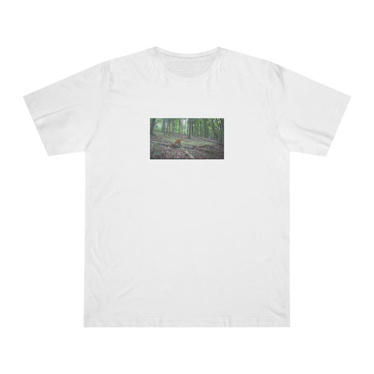 Trail Cam Fox | T-Shirt