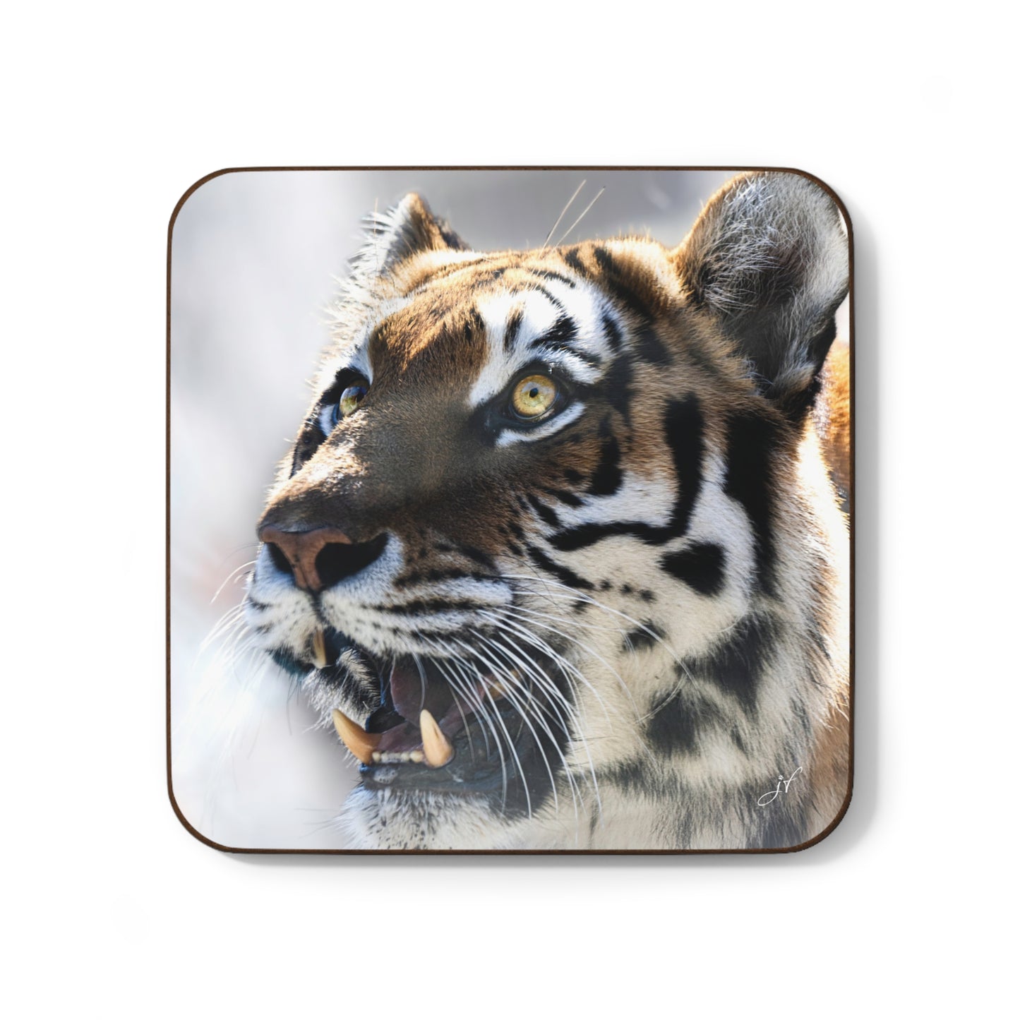Assorted Wildlife Coaster Bundle