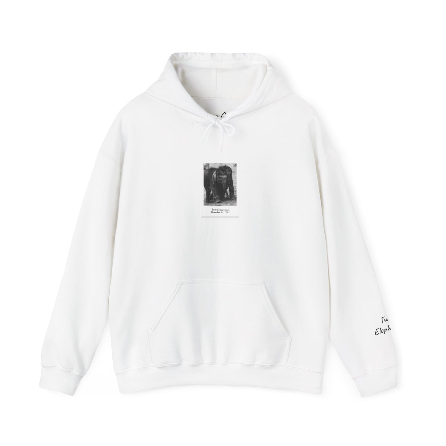 Twin Elephants 11.10.23 | Hoodie