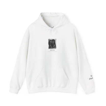 Twin Elephants 11.10.23 | Hoodie