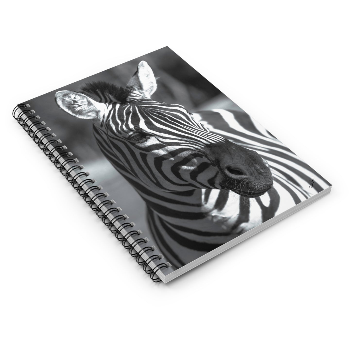 Zebra Notebook/Post-It Bundle