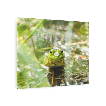 Frog | Metal Wall Art