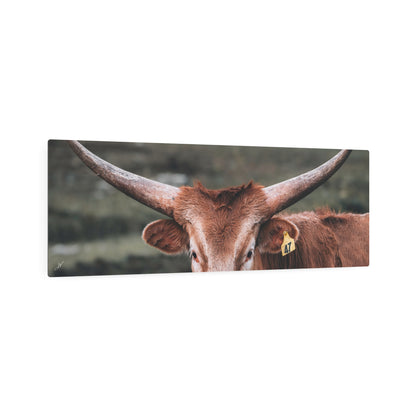Longhorn Cow | Metal Art Sign