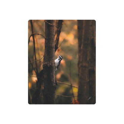 Downy Woodpecker | Metal Art Sign