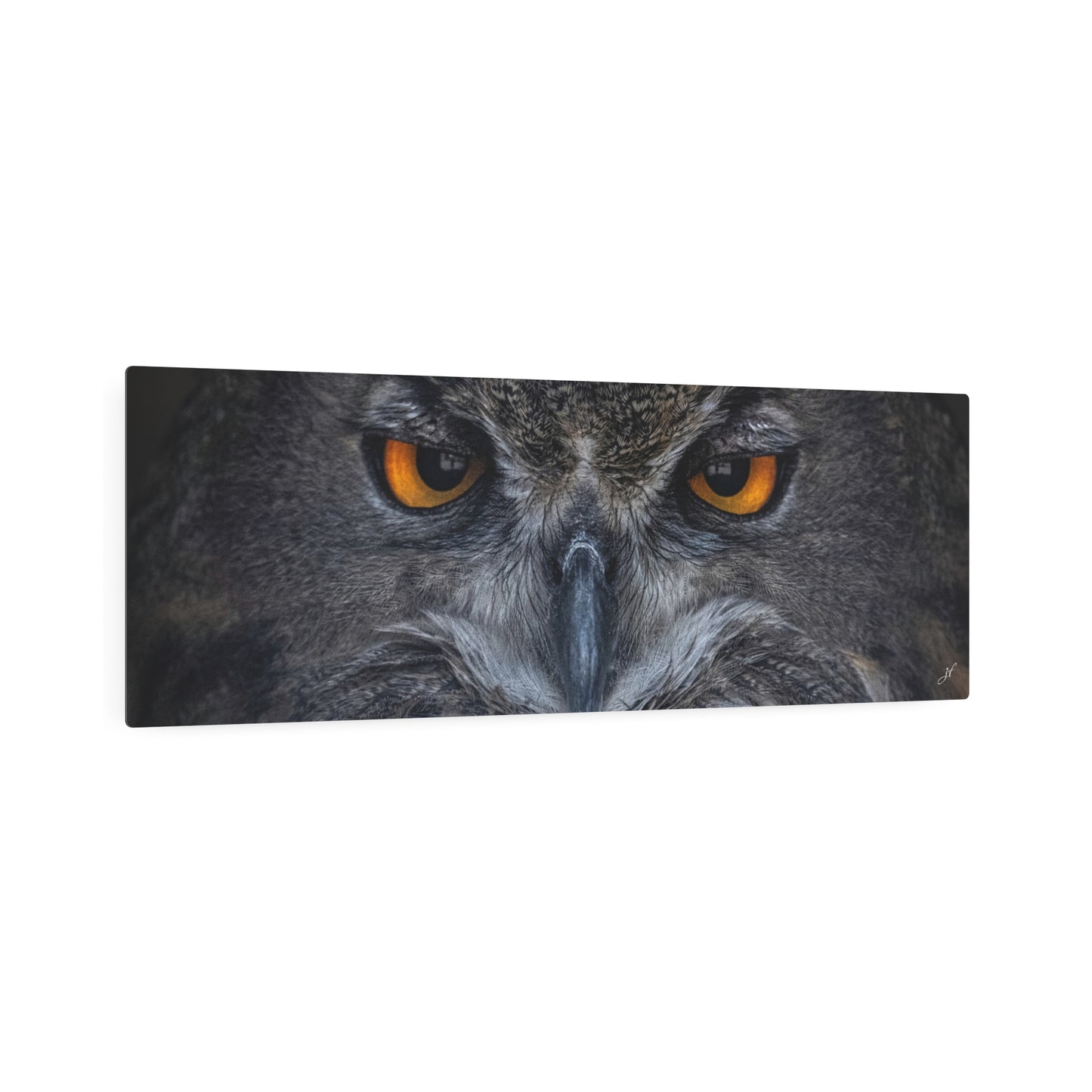 Owl | Metal Art Sign