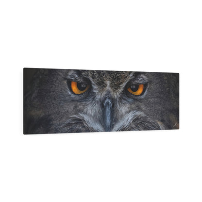 Owl | Metal Art Sign