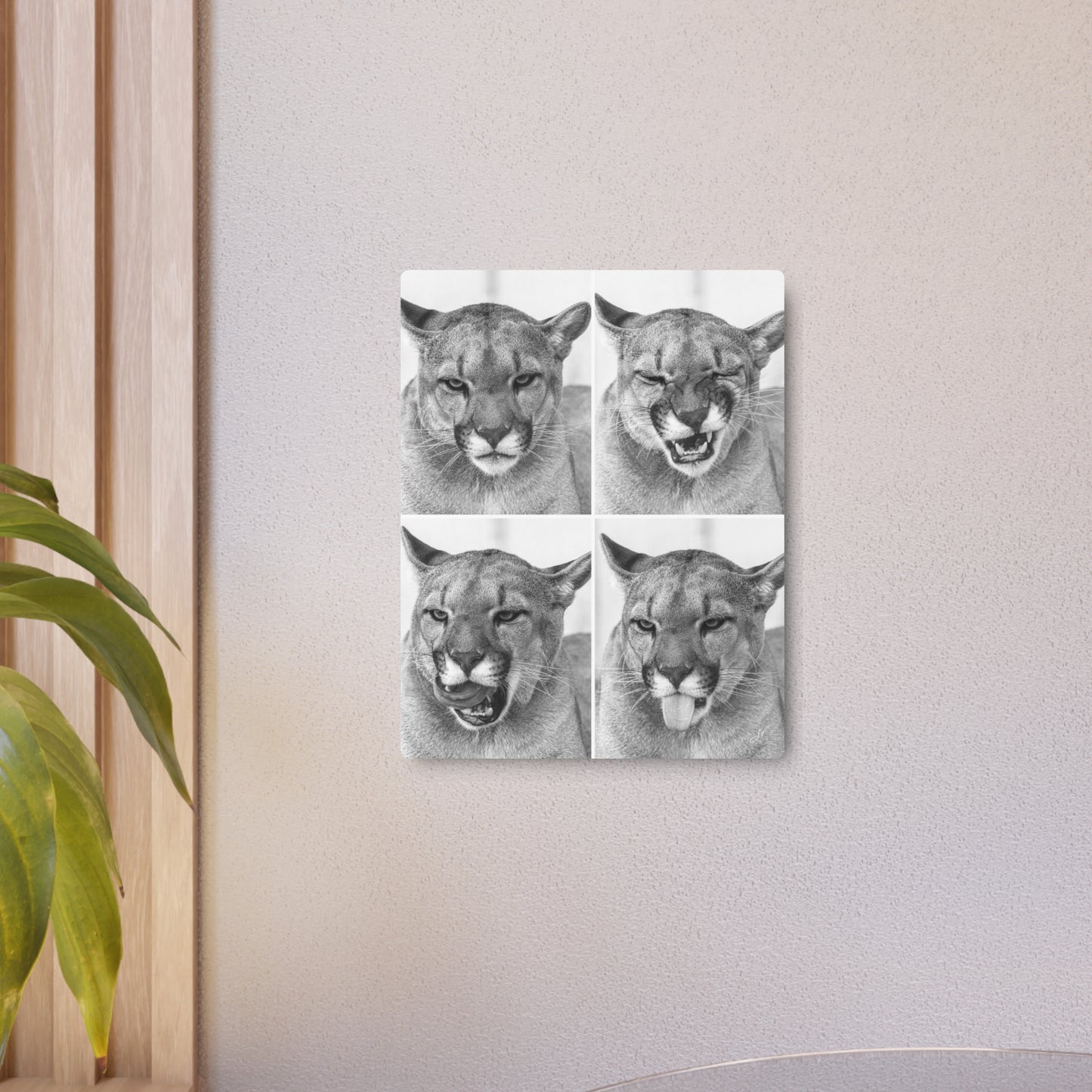 Puma Cat Collage | Metal Art Sign