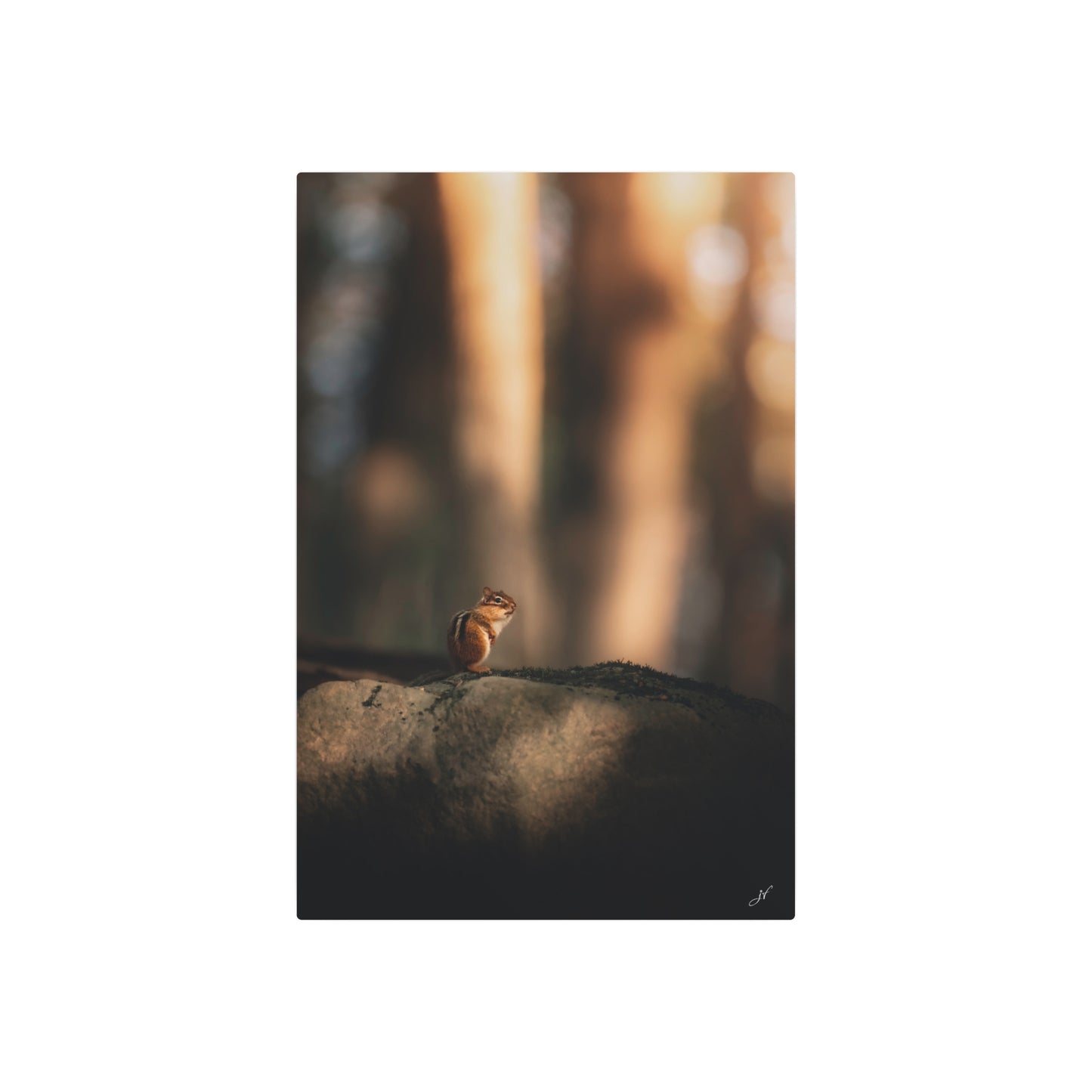 Chipmunk | Metal Art Sign