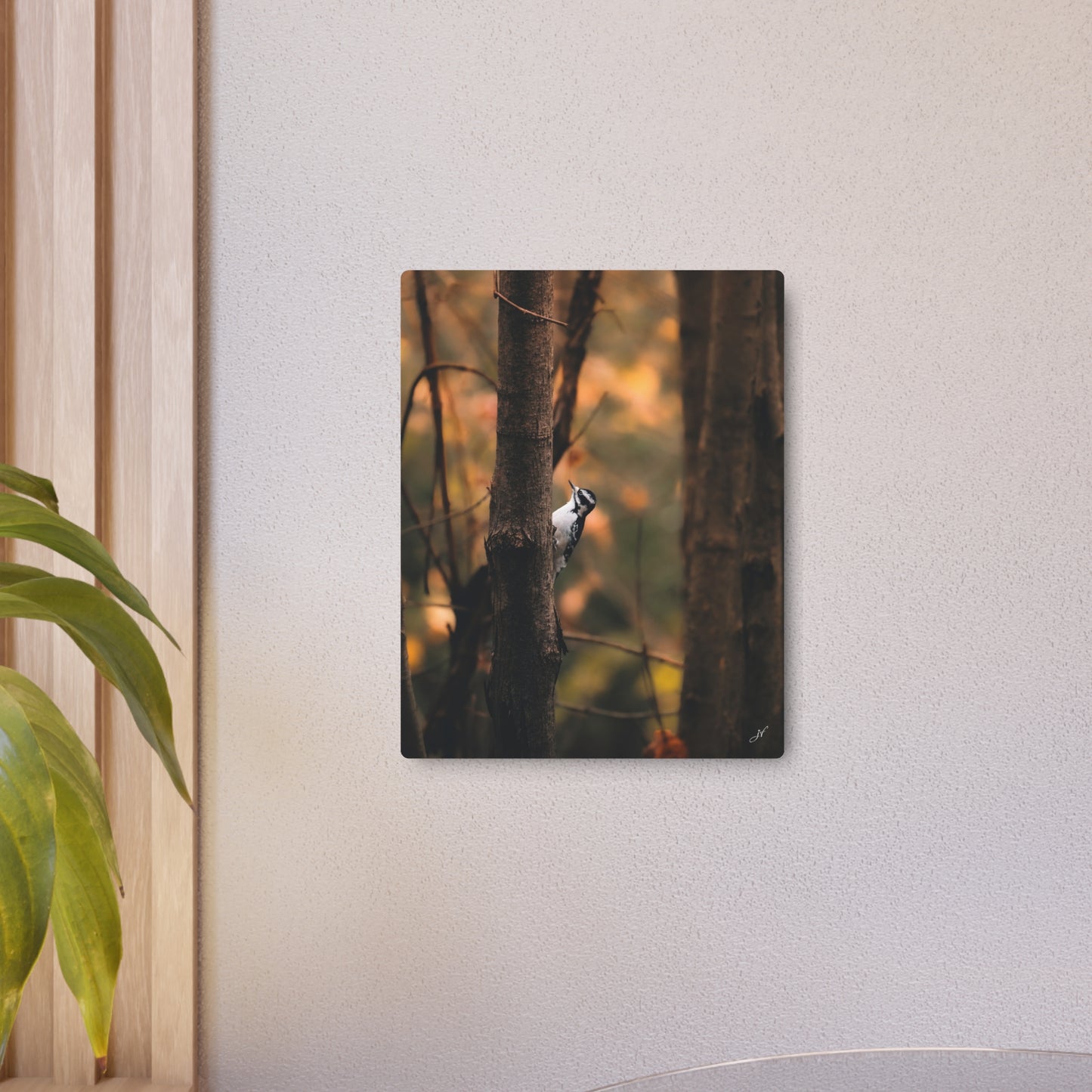 Downy Woodpecker | Metal Art Sign