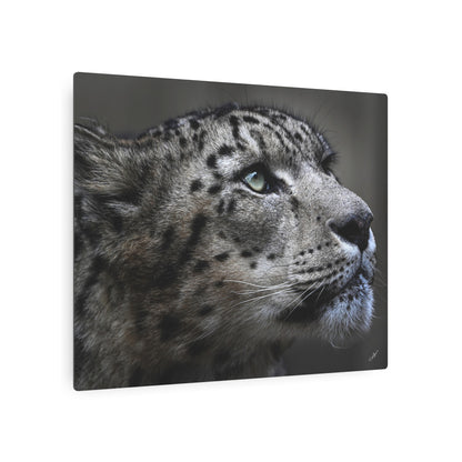 Snow Leopard | Metal Art Sign
