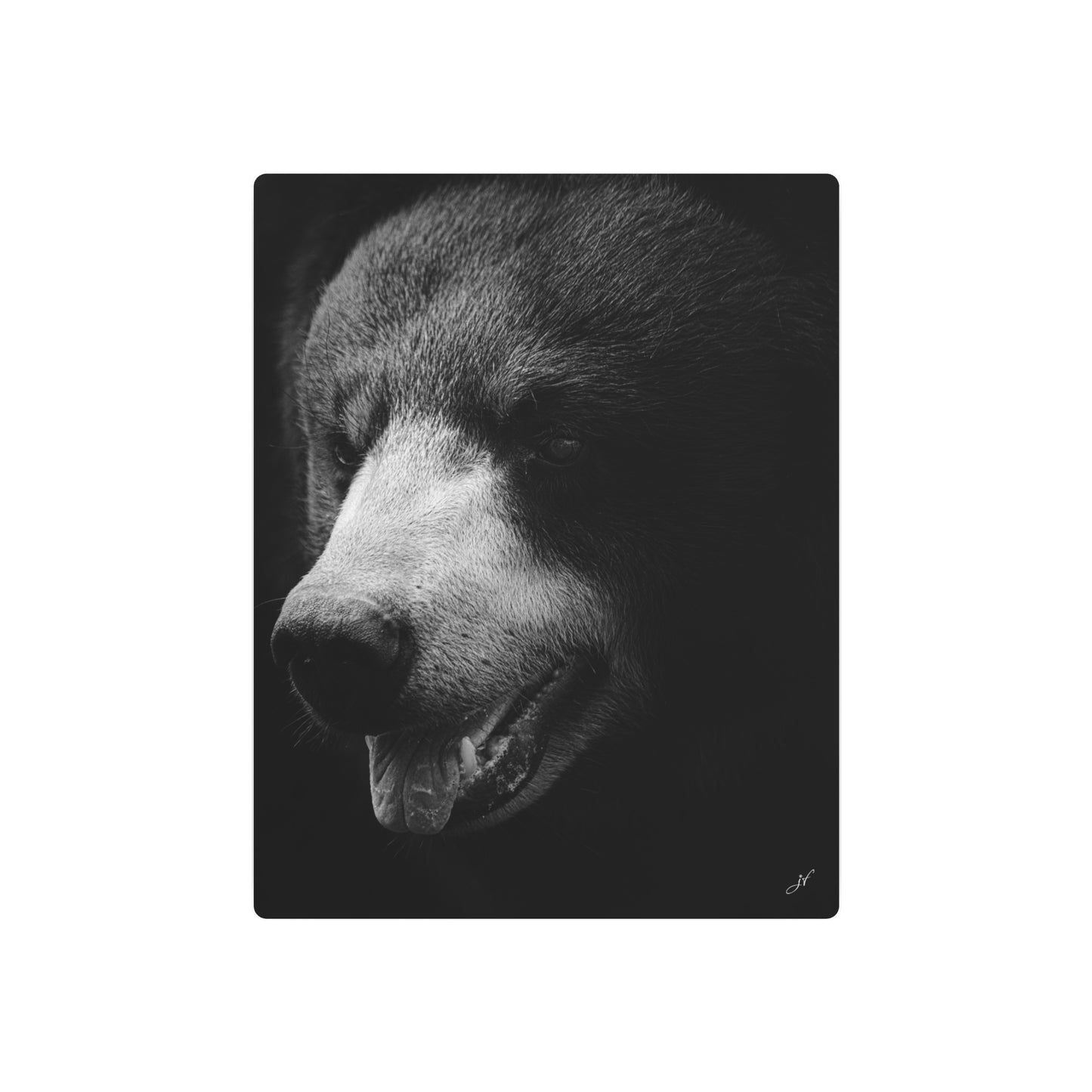 Black Bear | Metal Art Sign