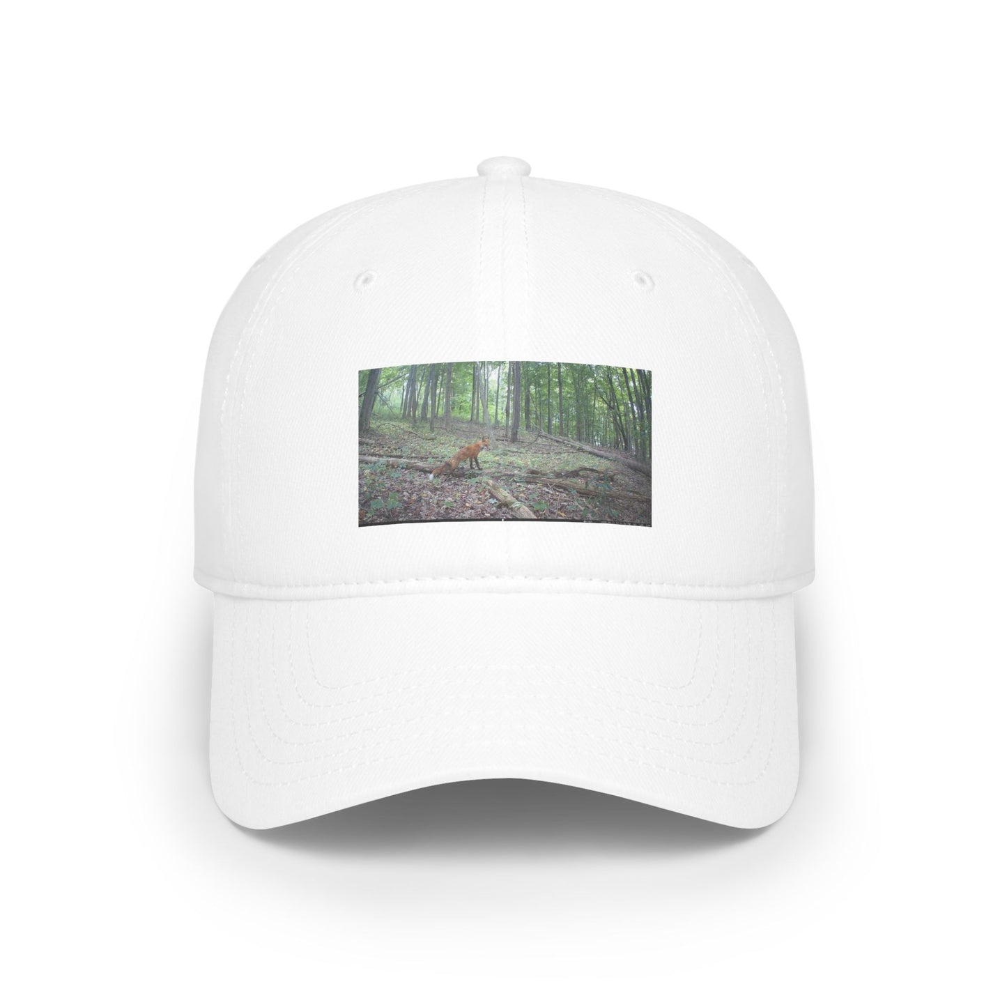 Trail Cam Fox | Hat