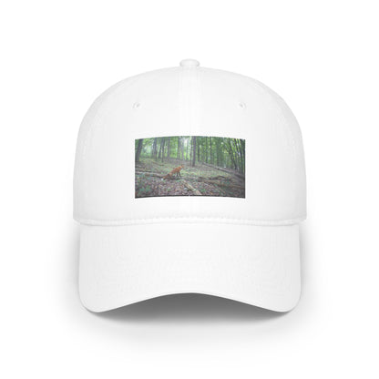 Trail Cam Fox | Hat