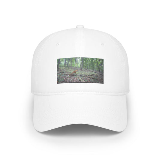 Trail Cam Fox | Hat