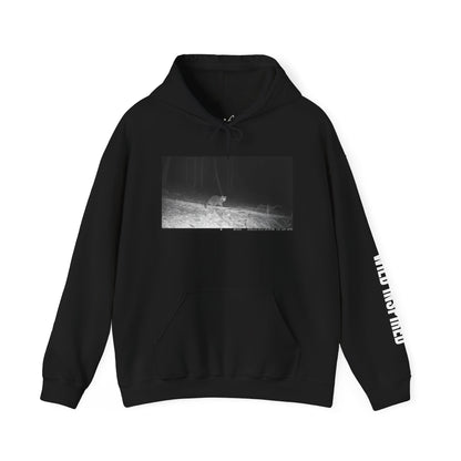 Trail Cam Raccoon | Hoodie