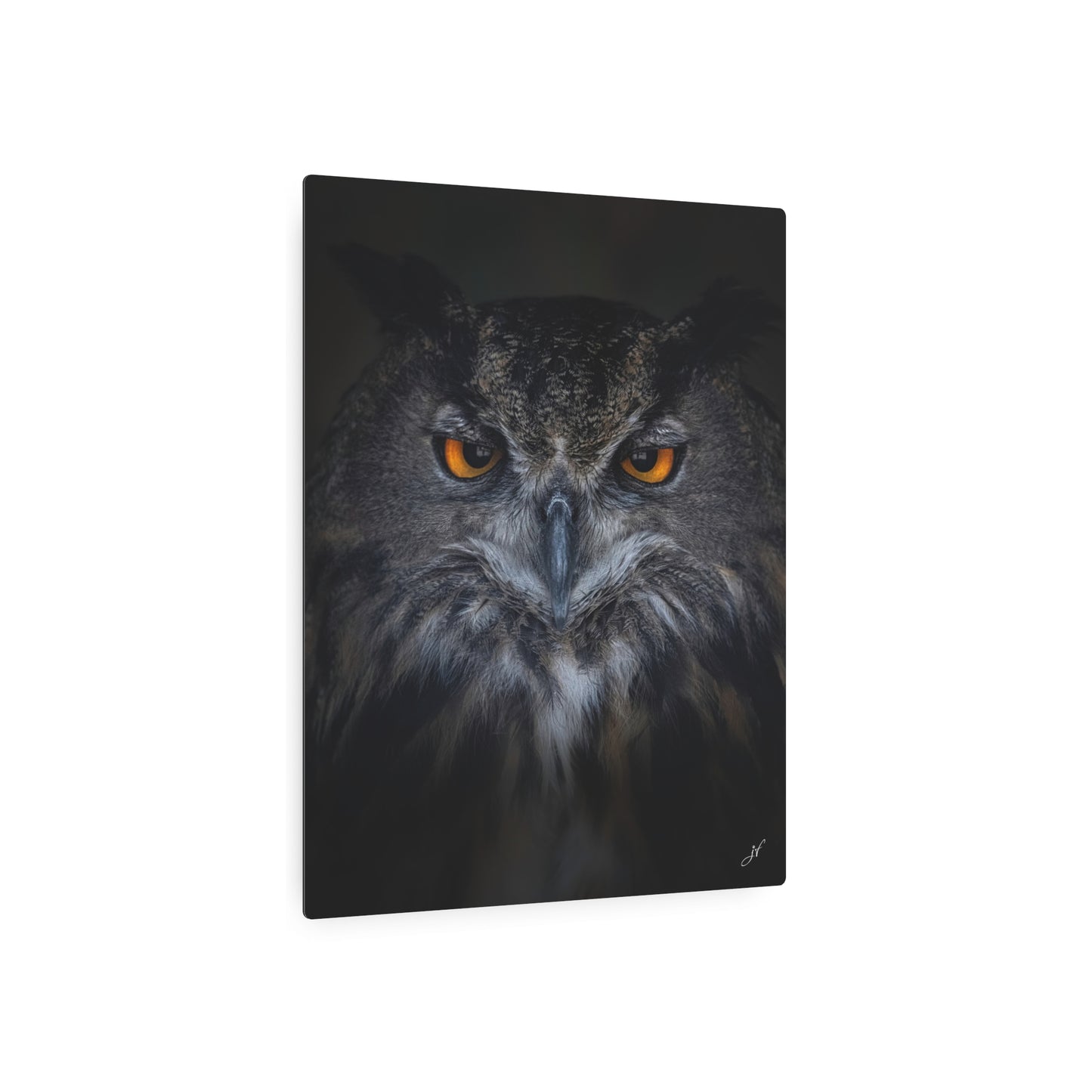Owl | Metal Art Sign