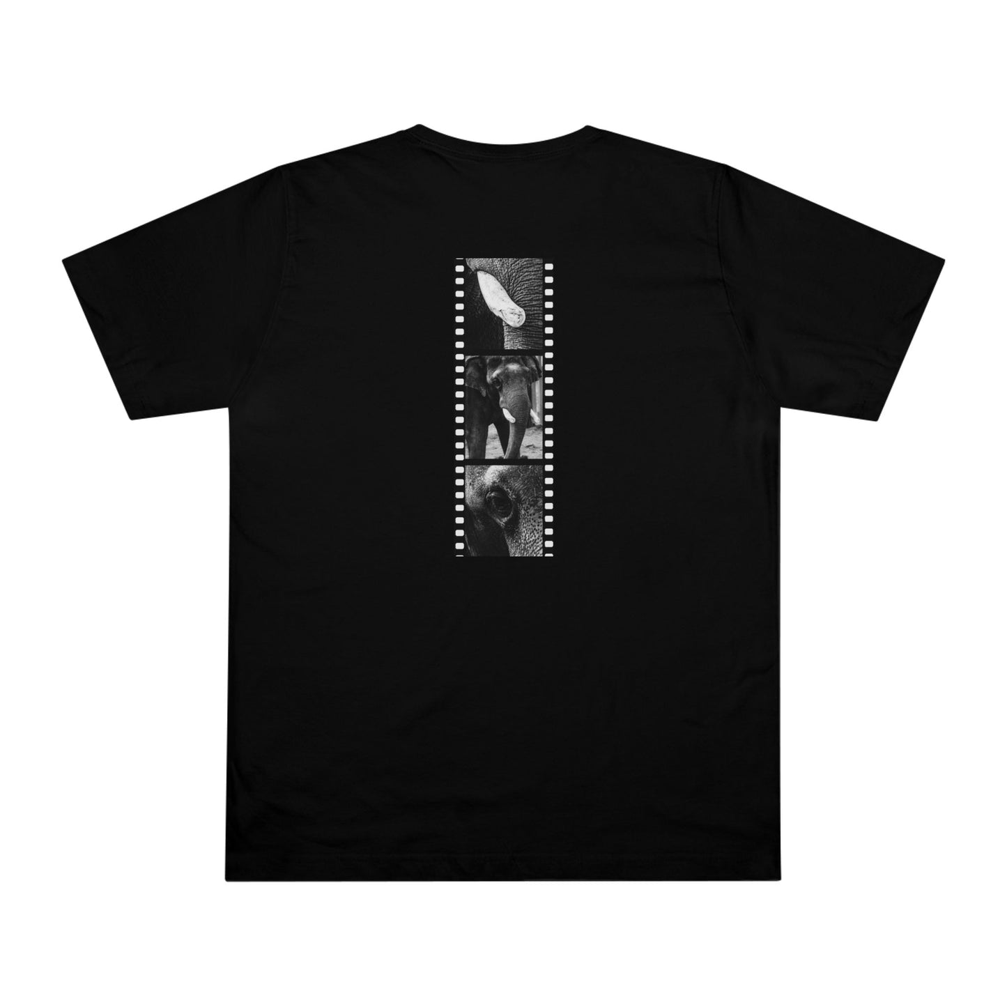 Elephant In Focus | T-Shirt