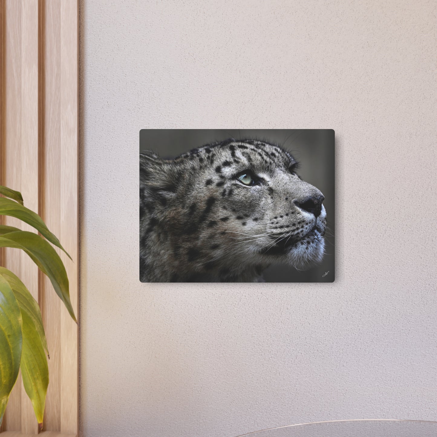 Snow Leopard | Metal Art Sign