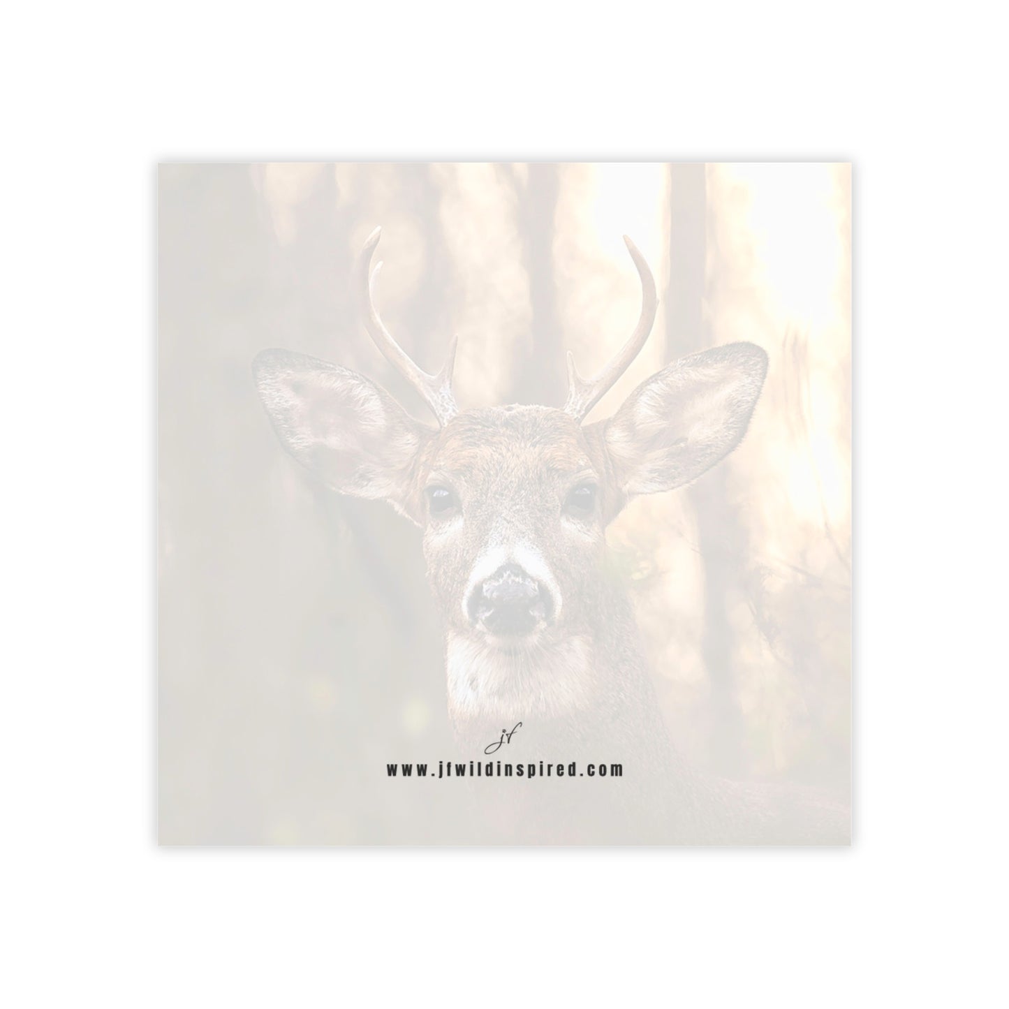 Buck | Post-It Note Stack