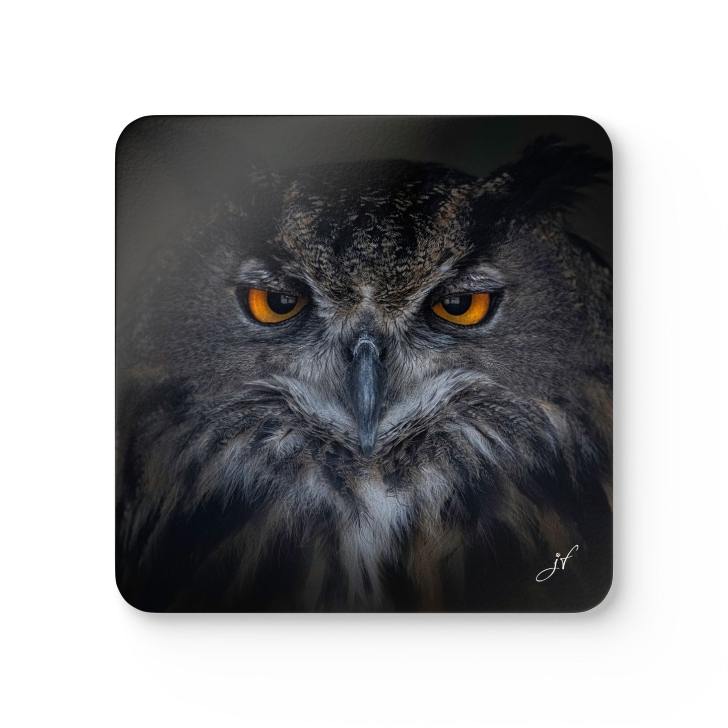 Owl | Corkwood Coaster Set (4 Piece)