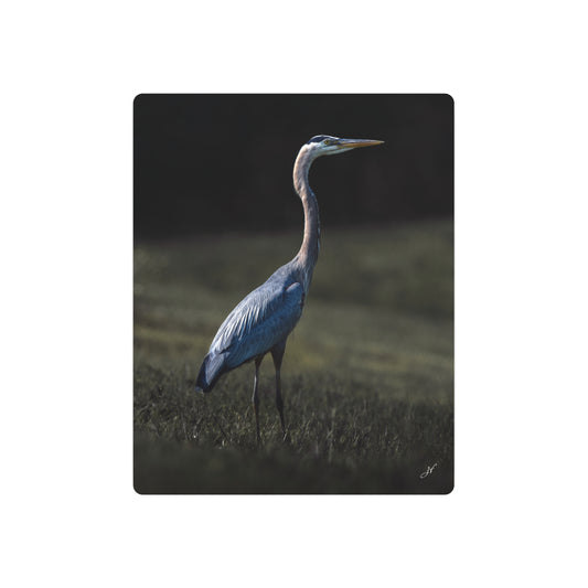 Blue Heron | Metal Art Sign